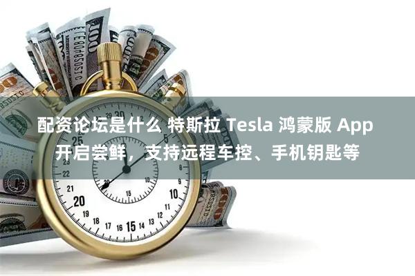 配资论坛是什么 特斯拉 Tesla 鸿蒙版 App 开启尝鲜，支持远程车控、手机钥匙等